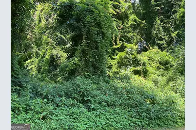 0 Tye, Stockbridge, GA 30281 - Photo 2