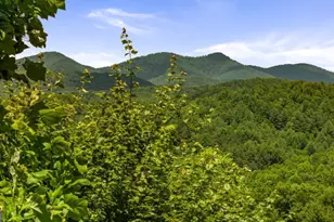 469 Mountain High Dr, Mineral Bluff, GA 30559 - Photo 4