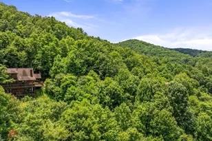 469 Mountain High Dr, Mineral Bluff, GA 30559 - Photo 6