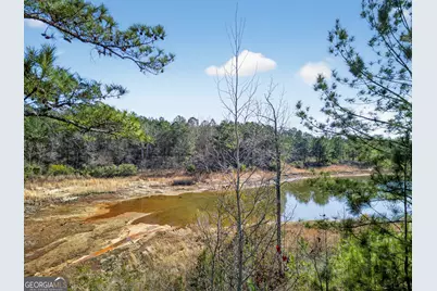 1307 Dayle Court, Macon, GA 31211 - Photo 30