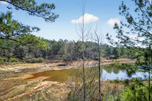 1307 Dayle Ct, Macon, GA 31211 - Photo 30