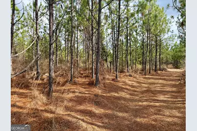 0 Outlaw Grove Way, Soperton, GA 30457 - Photo 26