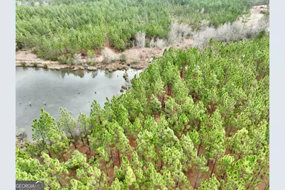 0 Outlaw Grove Way, Soperton, GA 30457 - Photo 22