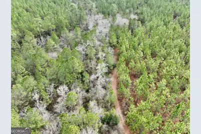 0 Outlaw Grove Way, Soperton, GA 30457 - Photo 4