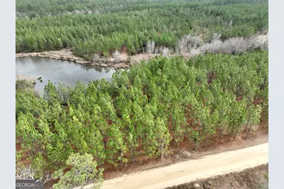 0 Outlaw Grove Way, Soperton, GA 30457 - Photo 10