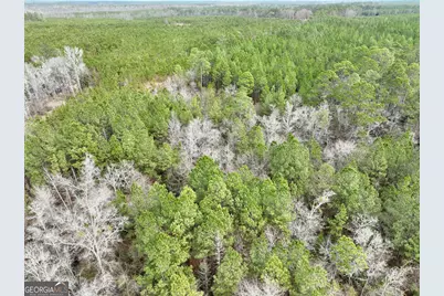 0 Outlaw Grove Way, Soperton, GA 30457 - Photo 18