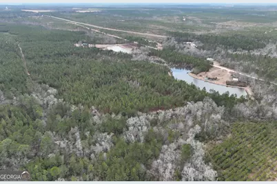 0 Outlaw Grove Way, Soperton, GA 30457 - Photo 14