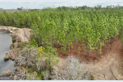 0 Outlaw Grove Way, Soperton, GA 30457 - Photo 6