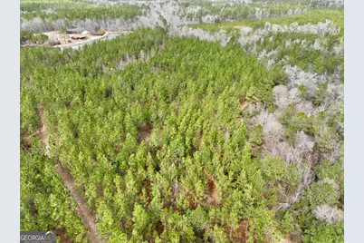 0 Outlaw Grove Way, Soperton, GA 30457 - Photo 20