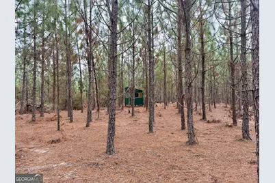 0 Outlaw Grove Way, Soperton, GA 30457 - Photo 30