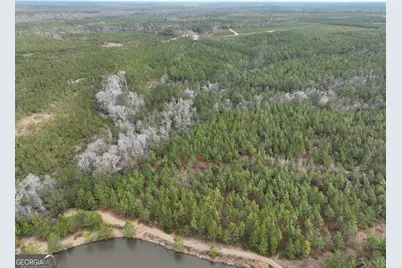 0 Outlaw Grove Way, Soperton, GA 30457 - Photo 12