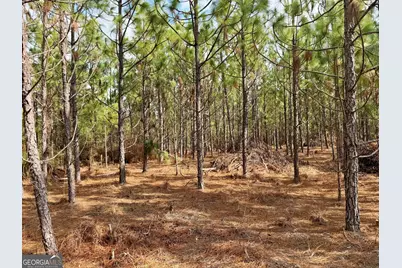 0 Outlaw Grove Way, Soperton, GA 30457 - Photo 28