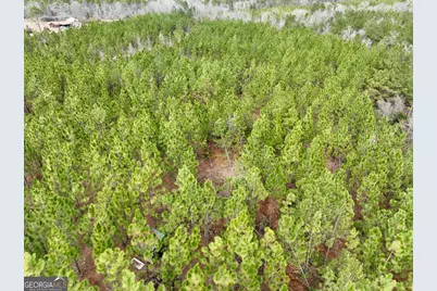 0 Outlaw Grove Way, Soperton, GA 30457 - Photo 8