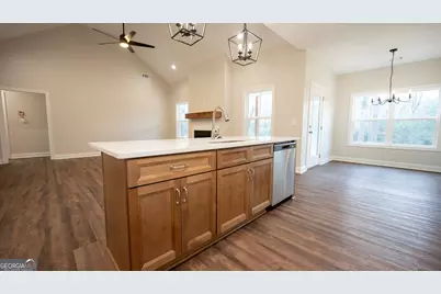 288 Frank Cook Road, Cochran, GA 31014 - Photo 12