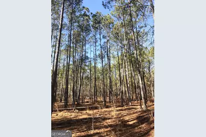 1952 Jump N Run Rd., Kite, GA 31049 - Photo 8