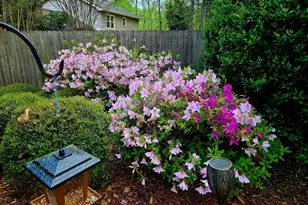 1215 Martin Ridge Rd, Roswell, GA 30076 - Photo 4