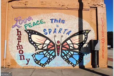 9822 Jones Street, Sparta, GA 31087 - Photo 52