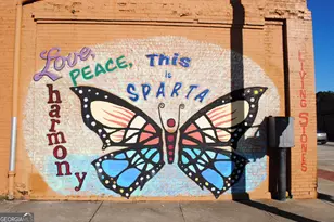 9822 Jones St, Sparta, GA 31087 - Photo 52