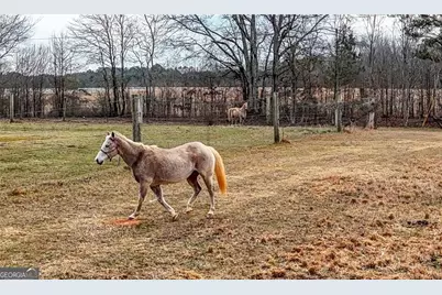 298 Trestle Road, Locust Grove, GA 30248 - Photo 32