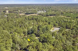 112 Southern Pines Circle, Macon, GA 31211 - Photo 36