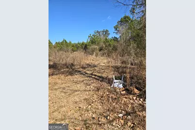 597 Fordham Road, Brooklet, GA 30415 - Photo 2