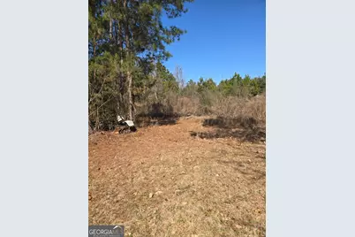 597 Fordham Road, Brooklet, GA 30415 - Photo 1