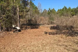 597 Fordham Rd, Brooklet, GA 30415 - Photo 1