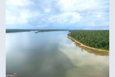 1141 Pebble Creek Lane, Locust Grove, GA 30248 - Photo 24