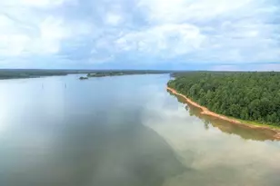 1141 Pebble Creek Ln, Locust Grove, GA 30248 - Photo 24