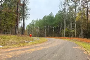 Lot 10 Rolling Meadows Way, Waverly Hall, GA 31831 - Photo 6