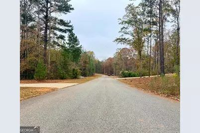 Lot 10 Rolling Meadows Way, Waverly Hall, GA 31831 - Photo 8