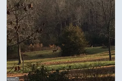 337 Lake Front Road, Canon, GA 30520 - Photo 10