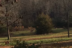 337 Lake Front Rd, Canon, GA 30520 - Photo 10