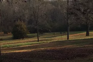 337 Lake Front Rd, Canon, GA 30520 - Photo 8