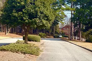 2897 Torreya Way SE, Marietta, GA 30067 - Photo 34