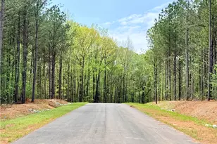 Lot 11 Rolling Meadows Way, Waverly Hall, GA 31831 - Photo 4