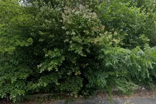 2106 Mason St, Macon, GA 31204 - Photo 1