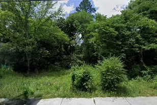 253 Pursley St, Macon, GA 31201 - Photo 1