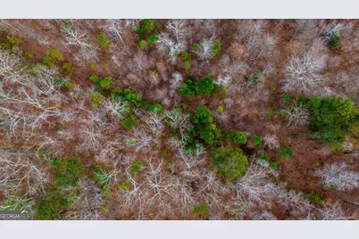 Tbd Trout Farm Road, Talking Rock, GA 30175 - Photo 34