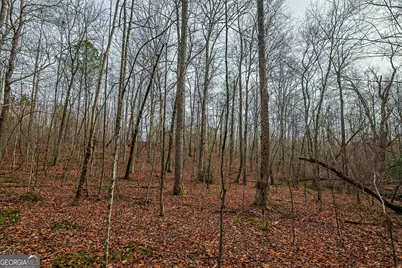Tbd Trout Farm Road, Talking Rock, GA 30175 - Photo 10