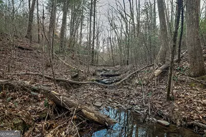 Tbd Trout Farm Road, Talking Rock, GA 30175 - Photo 16