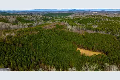 Tbd Trout Farm Road, Talking Rock, GA 30175 - Photo 24