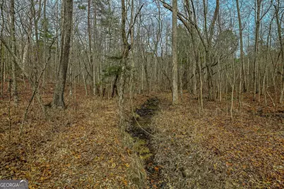 Tbd Trout Farm Road, Talking Rock, GA 30175 - Photo 42