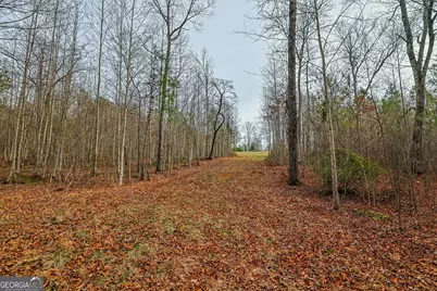 Tbd Trout Farm Road, Talking Rock, GA 30175 - Photo 40