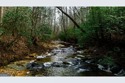 Tbd Trout Farm Road, Talking Rock, GA 30175 - Photo 18