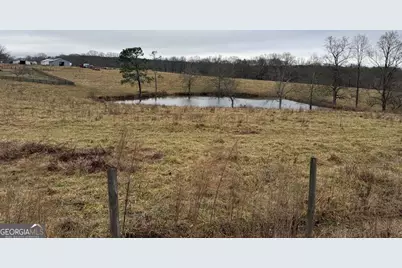 3399 Stateline Road, Bowdon, GA 30108 - Photo 4
