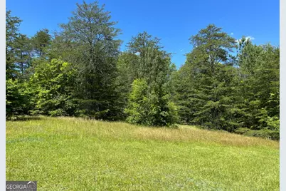 Lot 46 A Licklog Ridge, Hayesville, NC 28904 - Photo 12