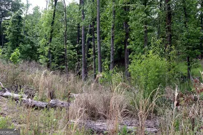 77 Cherokee Road SW, Milledgeville, GA 31061 - Photo 6