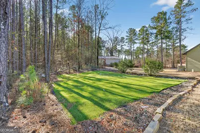 255 Needleleaf Drive, Barnesville, GA 30204 - Photo 32