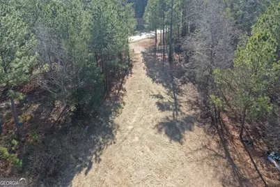 0 John Rucker Road, Elberton, GA 30635 - Photo 8